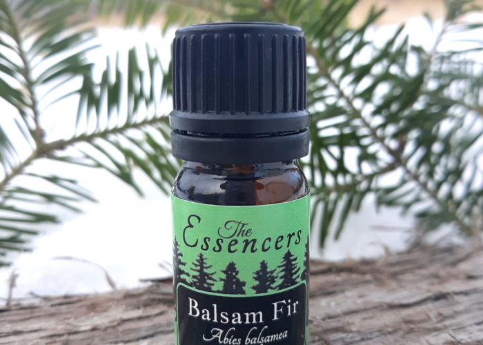 Balsam Fir Essential Oils