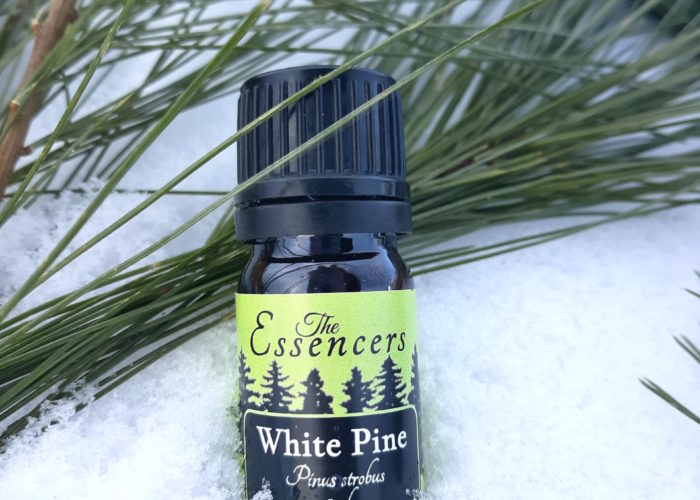 White Pine Essential Oils